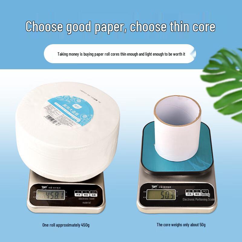 Ally Large Roll Toilet Paper