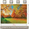 2D Bright Autumn Backdrop, Fall Forest Maple Trees Background for Outdoor Themed Events