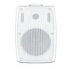 Tianlai 6.5" Wall-Mounted High-Power Speaker with Moisture-Proof Horn for Public Address Systems