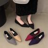 Fashion New Women Low Heels Leisure Outside Flats Female Fashion Suede Surface Low Heels Lady Sexy Evening Party Slip On Flat Shoes
