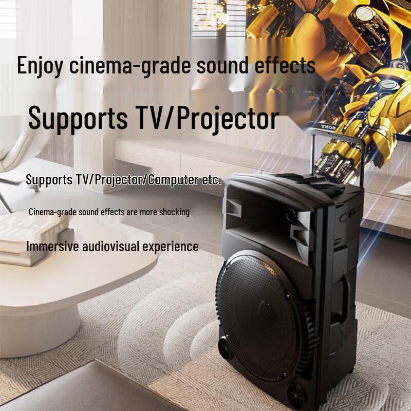 Newmine N521 Portable 12-inch Outdoor Karaoke Speaker with Dual Mics