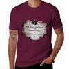 The Vampire Lestat T-Shirt animal prinfor boys oversizeds graphic t shirt vintage anime clothes mens t shirts pack