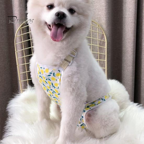 Pantaloni menstruali pentru animale de companie Chiloți sanitari ajustabili pentru câini Pantaloni fiziologici confortabili, rezistenti la scurgeri, pentru animale