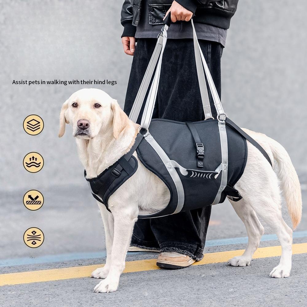 Imbracatura di Sollevamento Regolabile per Cani, Fascia di Supporto per Zampe Posteriori per Cani di Taglia Grande, Ausilio per Anziani, Infortunati, Disabili e Post-Chirurgia ACL