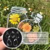 Dried Flower Bookmark Kit Pressed Flower Bookmark Making Set Jar Shape Botanical Specimen For Scrapbook Hobbyists Teachers