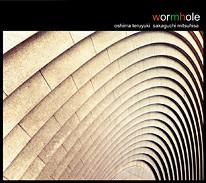 

CD TERUYUKI OSHIMA + MITSUO SAKAGUCHI - wormhole DMF150 Doubtmusic 2013 Japan ObiDance & Electronica Used