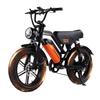 AVDL A50 Adult All Terrain Electric Bike 20 Inch Wide Fat Tyres 250W Motor 48V15.6Ah Battery Electric Bicycle Fit for Multiple Road Conditions