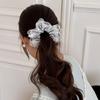 Silver Glossy Fabric Hair Band Retro Square Scarf Bow Lace Edge Large Intestine Ring Texture Hair Accessories New Headband Adult