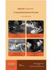 Dual-Use Shoe Deodorizing & Sterilizing Dryer for Wet and Dry Shoes - Home Shoe Drying and Baking Machine.