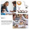 Growth Cycle Miniature Life Cycle Figures Cycle Duck Figurine White Goose Growth Cycle Simulation