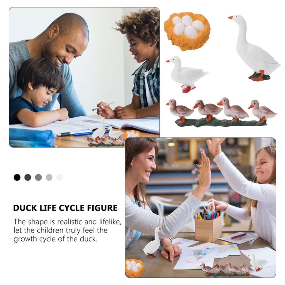 Growth Cycle Miniature Life Cycle Figures Cycle Duck Figurine White Goose Growth Cycle Simulation