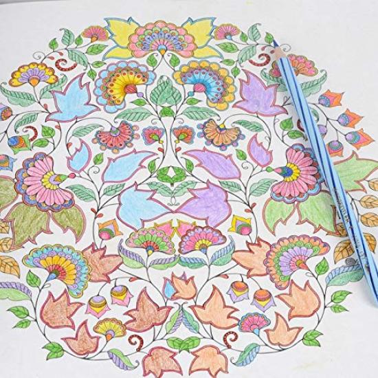 Staedtler Luna Watercolor Pencils Watercolor 48 (Luna Pencils, Colors) [Used]