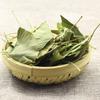 Organic Ginkgo Biloba Leaves Tea Chinese Loose Leaf Ginkgo Tea Herbal Green Tea