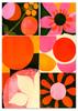 Poster Colorful Flowers