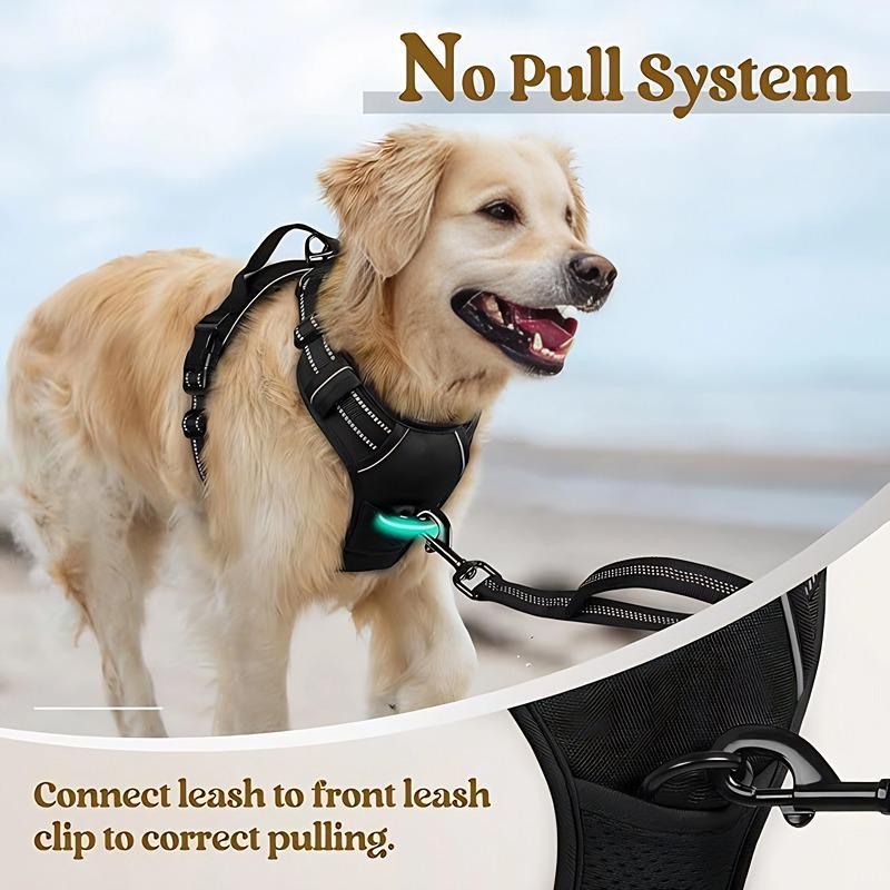 Dog Nylon Chest Harness and Leash for Large Pets