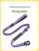 Reflective Shock-Absorbing Retractable Dog Leash with Anti-Escape Frog Buckle