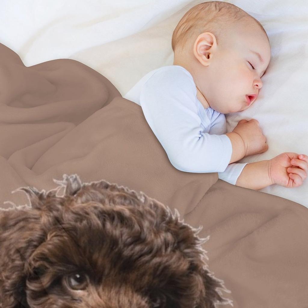 Labradoodle Throw Blanket Comforter Weighted Soft Big For Sofa Thin Blankets