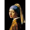 [Puzzle Life] Rompecabezas de 500 Piezas - La Joven de la Perla de Vermeer Obra Maestra