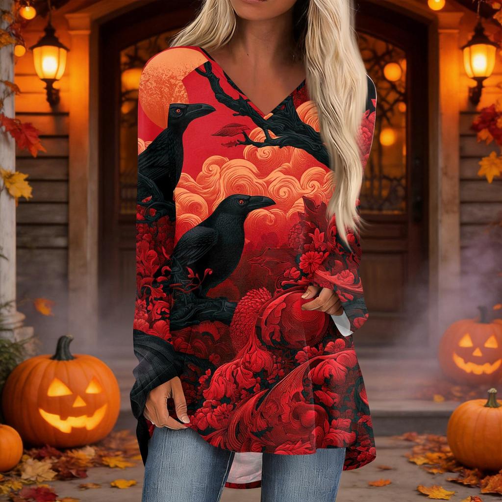 Women's Casual Long Sleeve V-Neck Print Tunic Top for Fall