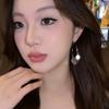 Exaggerated Design Multi-layer Metal Disc Fringed Earrings Earrings Temperament Cold Wind Earrings