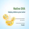 Yili QQ Star Native DHA Kids Milk