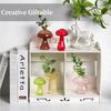 5Pcs/set Creative Mushroom Vase Home Small Vase Hydroponic Flower Pot Simple Table Decoration Nordic Transparent Mushroom Vase