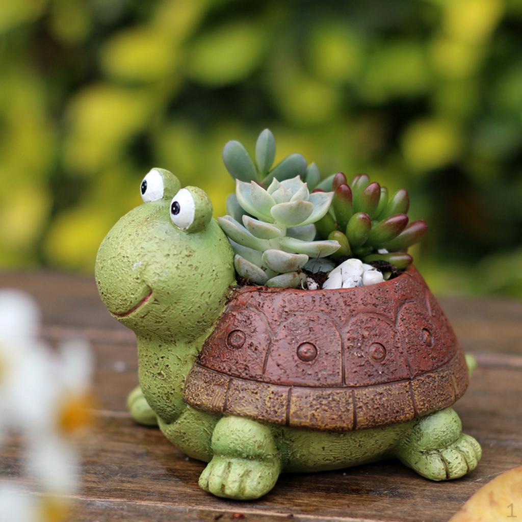 Schildkrötenblume Bonsai-Trogkasten Pflanzenbeet DIY-Topf