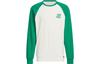 Small Logo Sweatshirt Men's Smoke Green JE6111