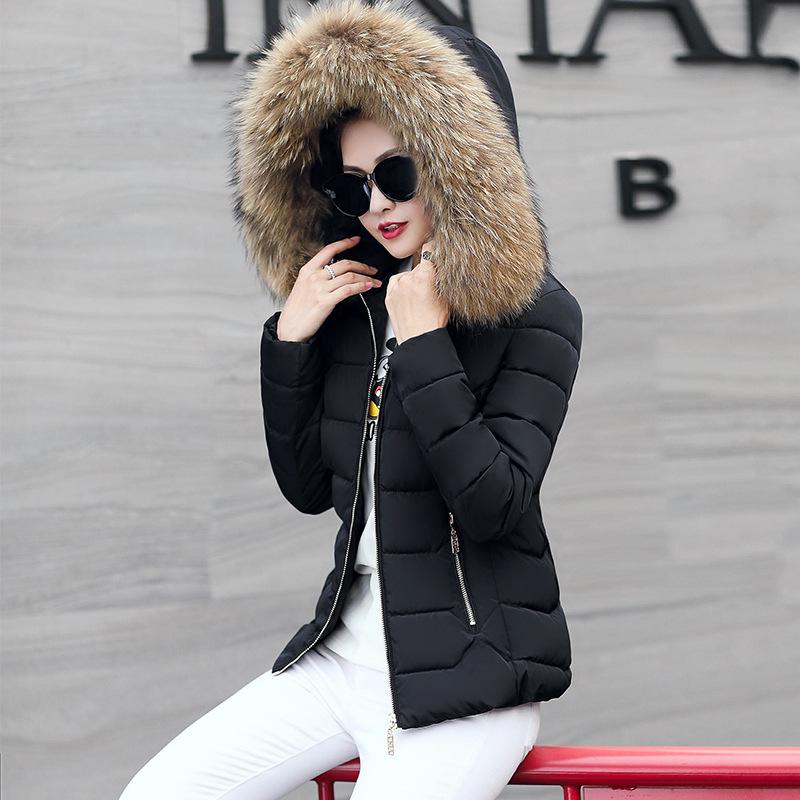 Women's Plus Size Short Down Cotton Jacket with Big Fur Collar