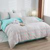 Batenlu Colorful Plaid Four-Piece Bedding Set
