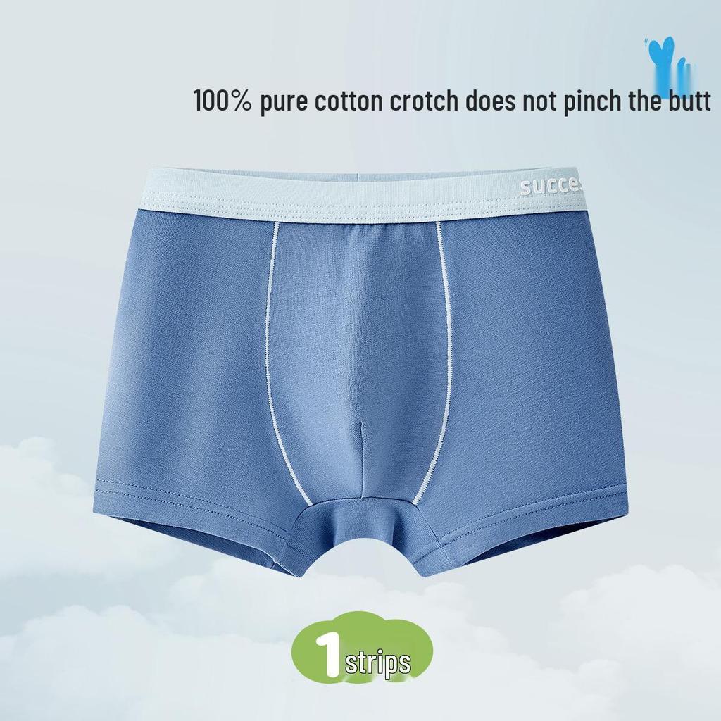 Boys' Pure Cotton Class A Underwear - Teen & Large Sizes, Full Cotton Crotch, Antibacterial Boxer Briefs
