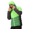 Regatta Mens Harrock II Baffled Padded Jacket