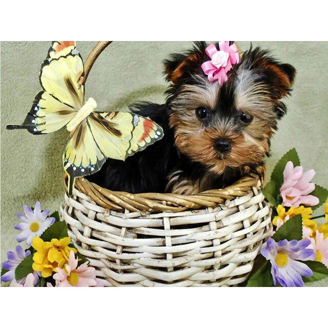 DIY 5D diamantová malba pes Křížkový steh Diamantové vyšívání Prodej Zvířecí mozaika Kamínky Obrázky