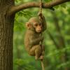 Handmade Monkey Hanging Ornament Cute Animal Statue Garden Climbing Monkey Figurine  Home Decor