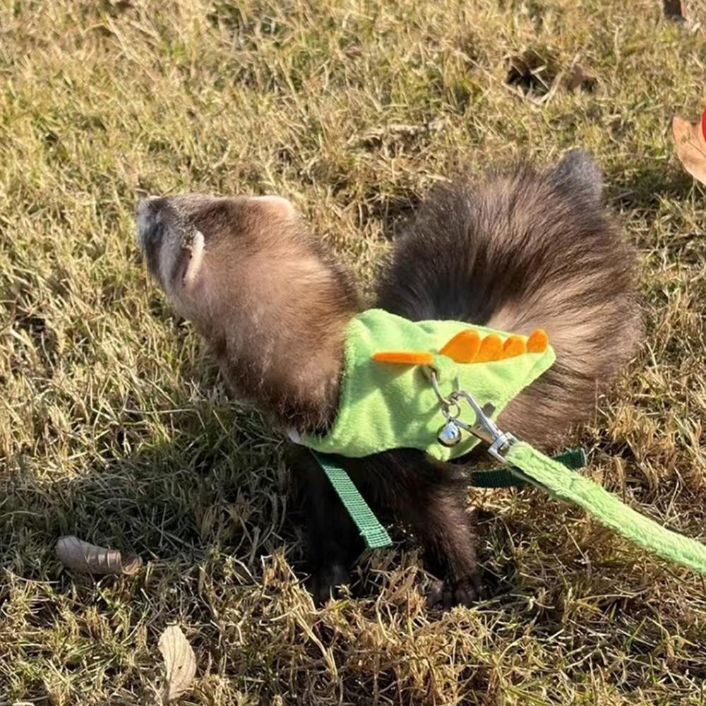 Adjustable Ferret Drawstring Vest With Bell Pet Outdoor Walking Rope Bunny Harness Harness Vest Dinosaur Design Pet Accessories