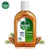 Dettol Disinfectant Liquid 250ml