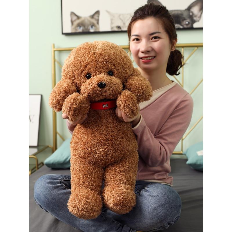 Teddy Dog Puppy Doll Plush Toys Sitting Poodle Doll Zoo Event Gifts