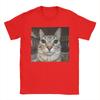Silly Staring Cat Meme Mens T Shirts  Vintage Tees Short Sleeve Round Collar TShirts Pure Cotton Party Clothes