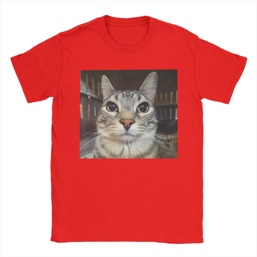 Silly Staring Cat Meme Mens T Shirts Vintage Tees Short Sleeve Round Collar TShirts Pure Cotton Party Clothes