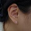 14K Little Star Flower Cubic Earrings