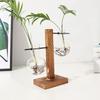 Plant Propagation Station with 1/2 Glass Vases And Wood Stand Decorative Tabletop Terrarium Planter Clear Glass Hydroponic Vase for Office Garden Home
