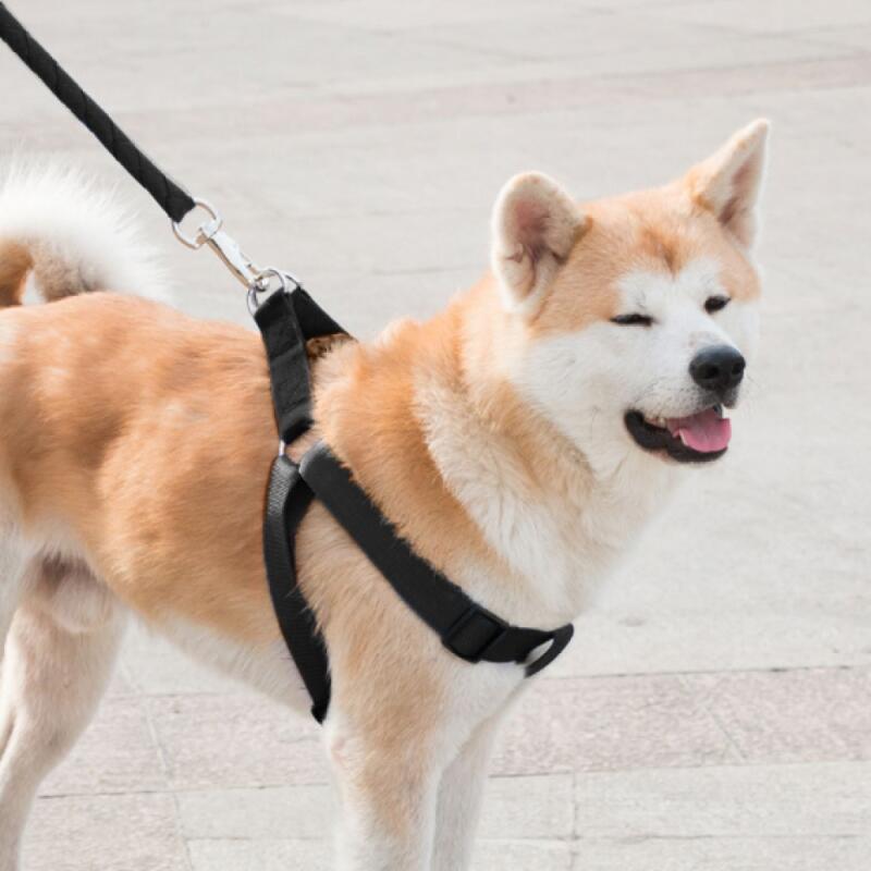 Rope Large Dog Leash + Harness + Lead Set (XS) (Black)