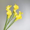 EVA Calla Lily Faux Flower Single Stem for Wedding Decor & Floral Arrangements
