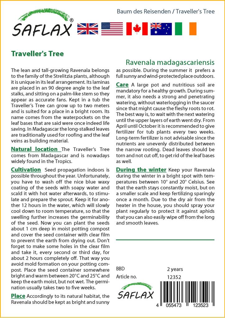 SAFLAX Gift Set - Traveller's Tree - 8 Seeds - With Gift Box, Card, Label and Potting Substrate - Ravenala Madagascariensis