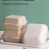 Recipientele pentru alimente – Păstrarea alimentelor