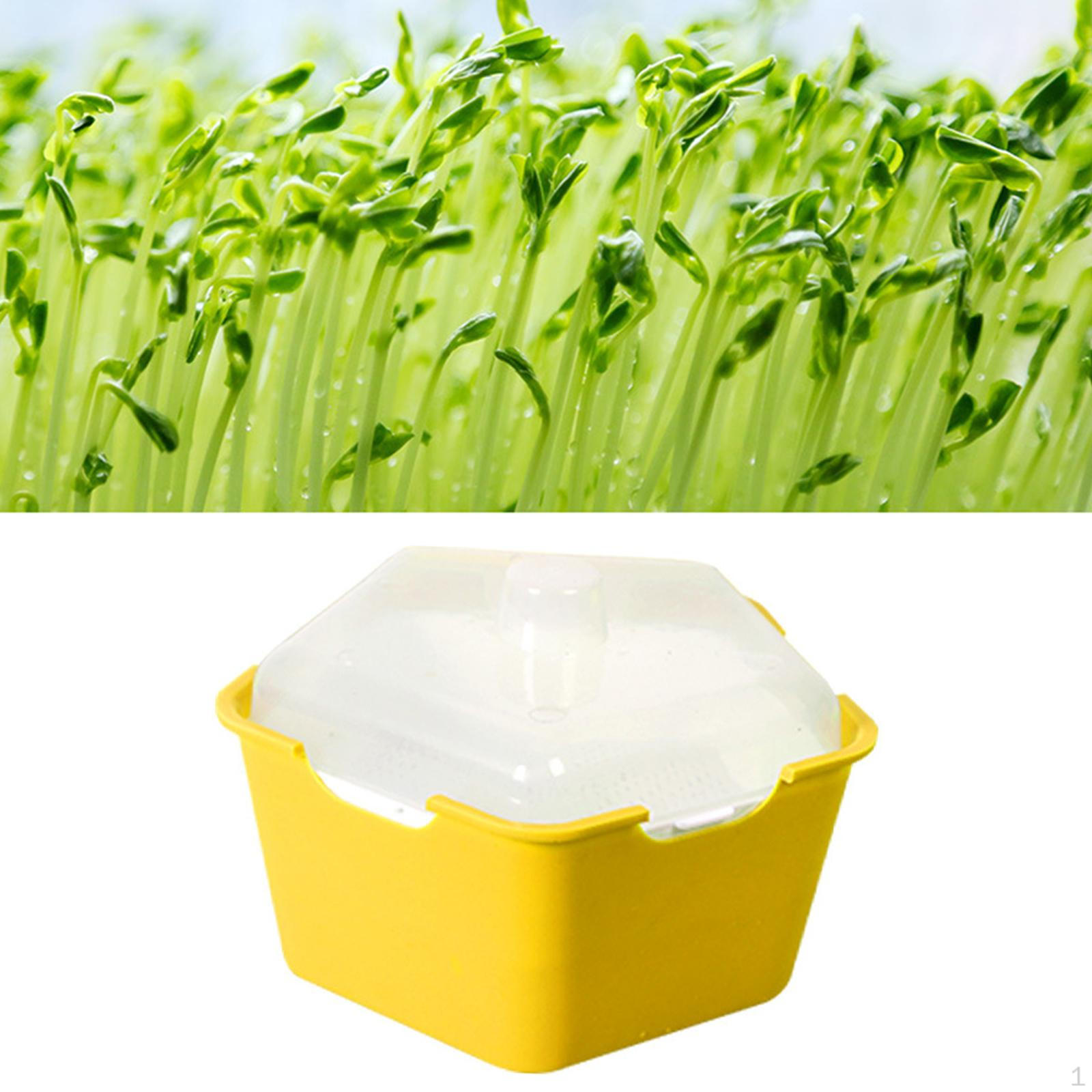 

Starter Tray Greenhouse Trays Observation Germination for Garden Peas Grass Alfalfa жовтий