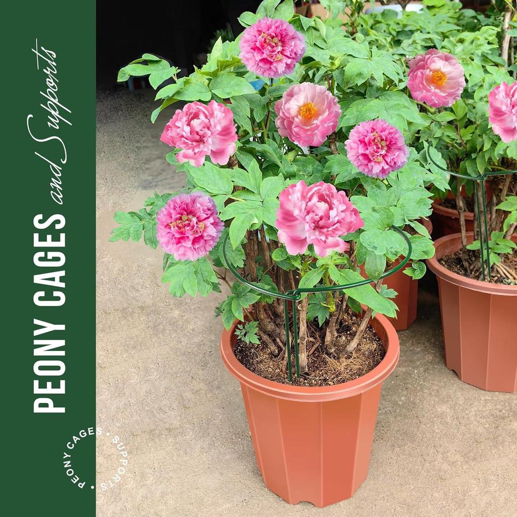 10 PCS Plant Stakes, Plant Support Stakes, Plant Support, Peony Cages, Garden Stakes Plant Cages for Outdoor Indoor Plants