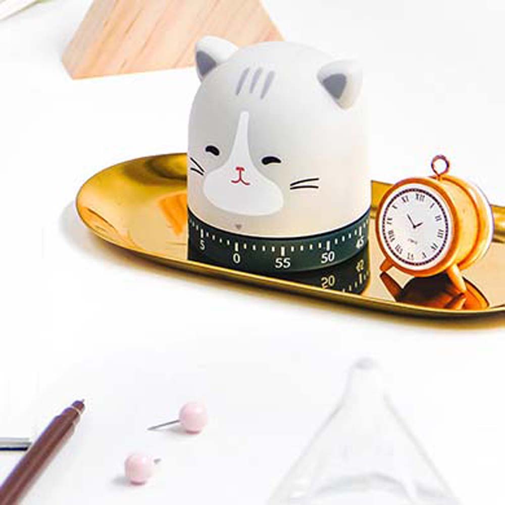 Mechanischer Home Countdown Study Haushalt Kochwerkzeug Küchentimer Wecker Zeiterinnerung