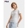 Women's Round Neck Knit T-Shirt