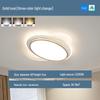Modern Oval Dimmable LED Ceiling Light